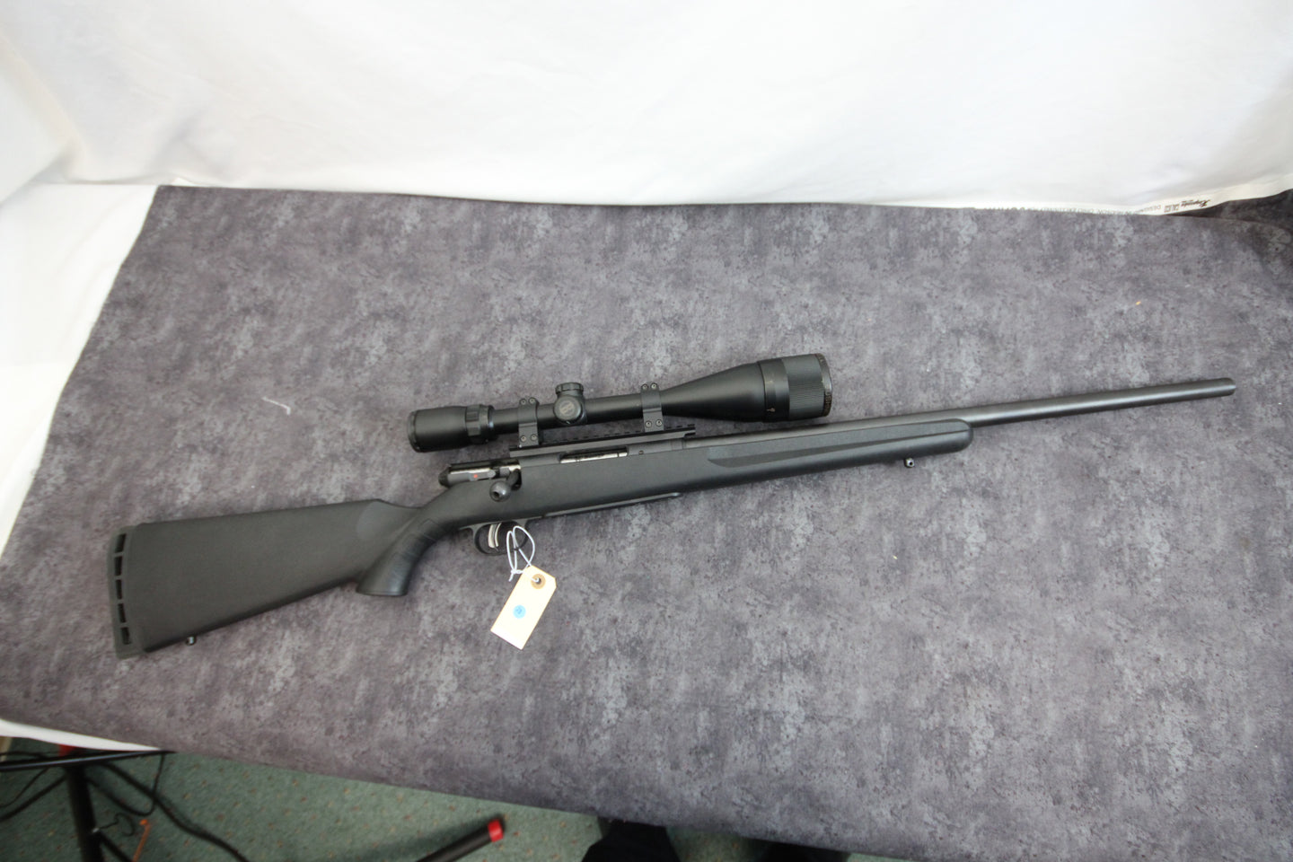 204:  Savage Arms Model 25 Walking Varminter in 222 Rem with 22