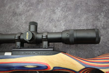 Load image into Gallery viewer, C-1577:  Ruger Model 10/22 in 22 LR with 18 1/2&quot; Barrel. Wild Wild Westlake
